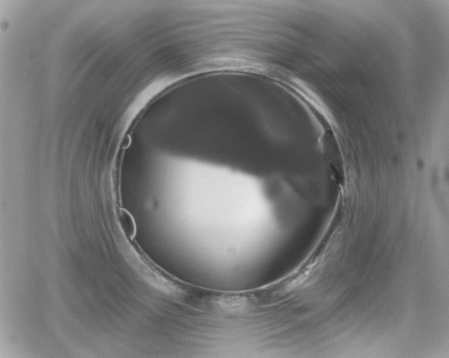 X0000066971291200603271158