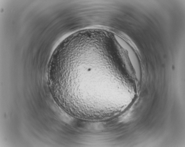 X0000066971292200603271158