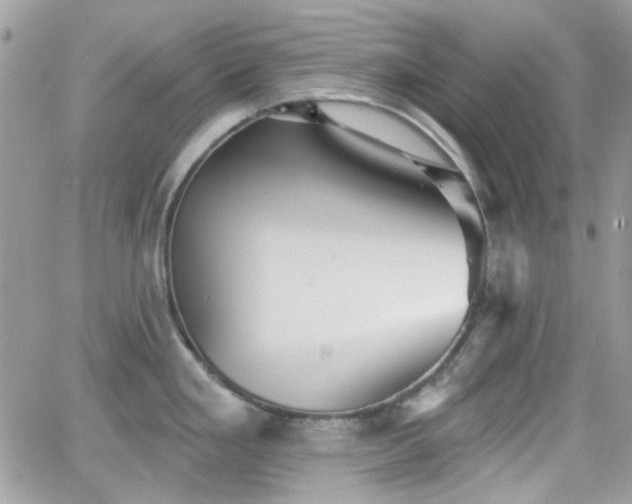 X0000066971293200603271158