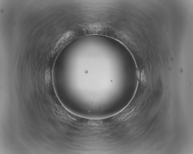 X0000066971299200603271158