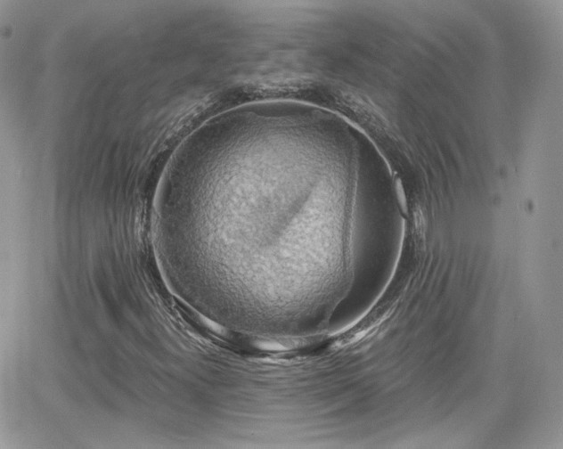 X0000066971300200603271158