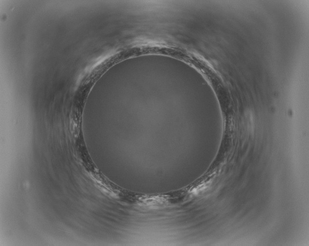 X0000066971303200603271158