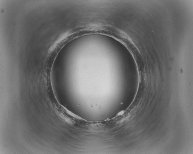 X0000066971304200603271158