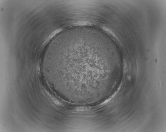 X0000066971305200603271158