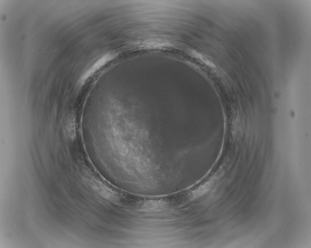 X0000066971306200603271158