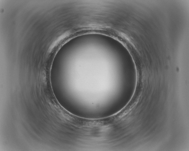 X0000066971307200603271158