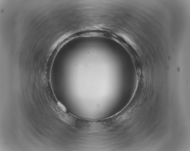 X0000066971308200603271158