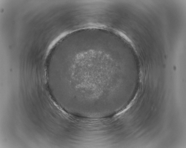 X0000066971310200603271158