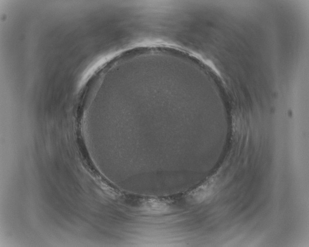 X0000066971311200603271158