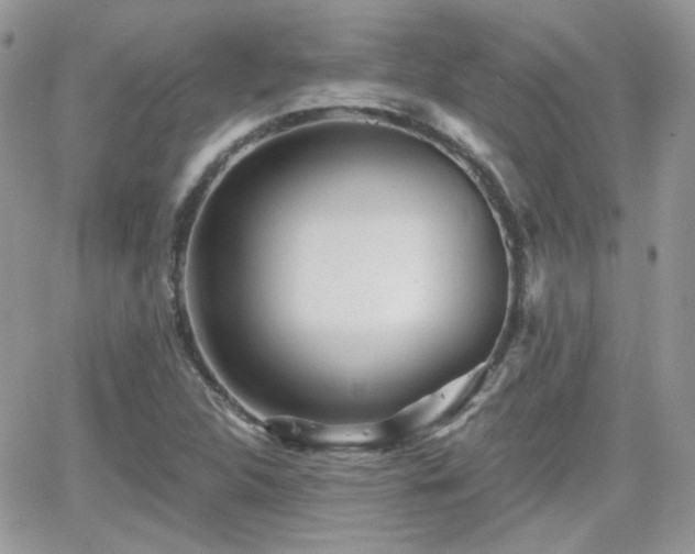 X0000066971312200603271158