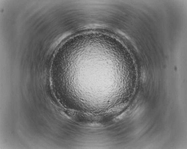 X0000066971313200603271158