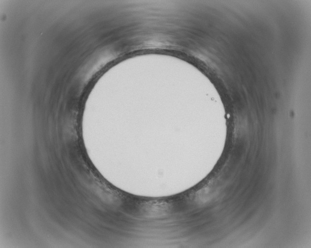 X0000066971314200603271158