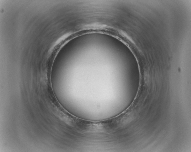 X0000066971315200603271158