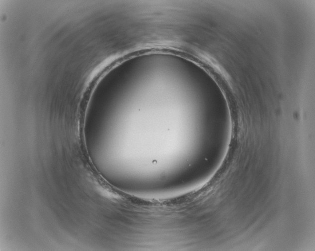 X0000066971316200603271158