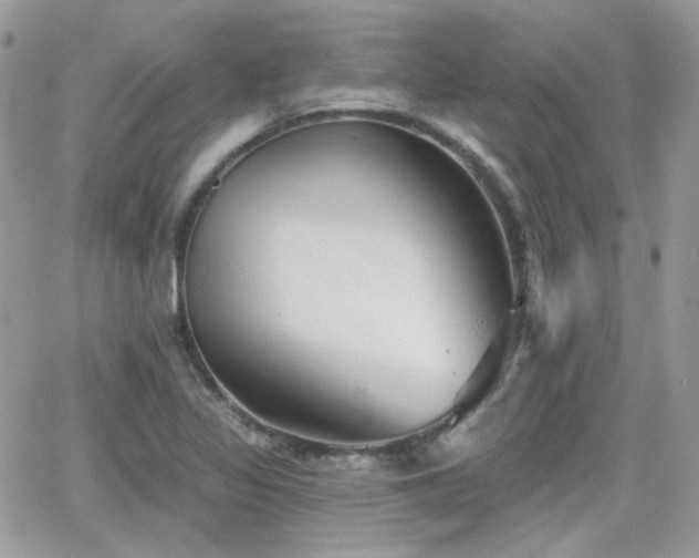 X0000066971317200603271158