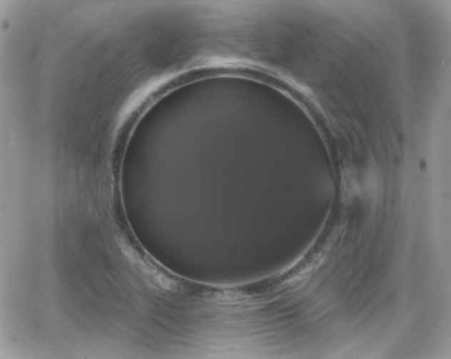 X0000066971319200603271158