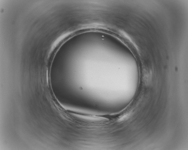 X0000066971320200603271158