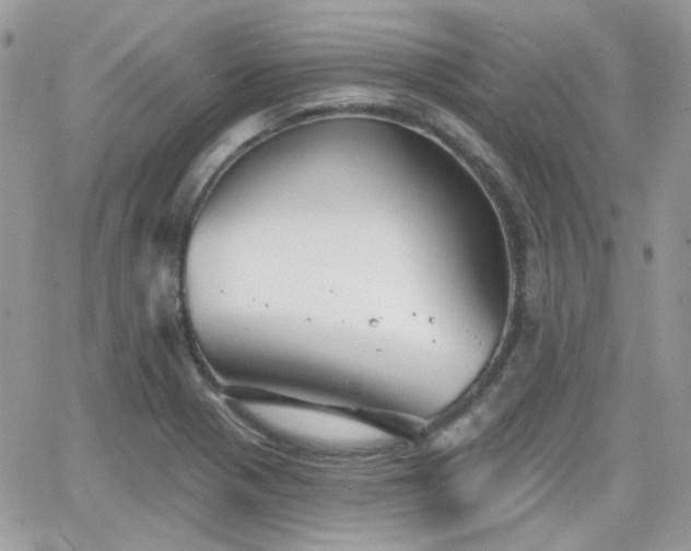 X0000066971321200603271158