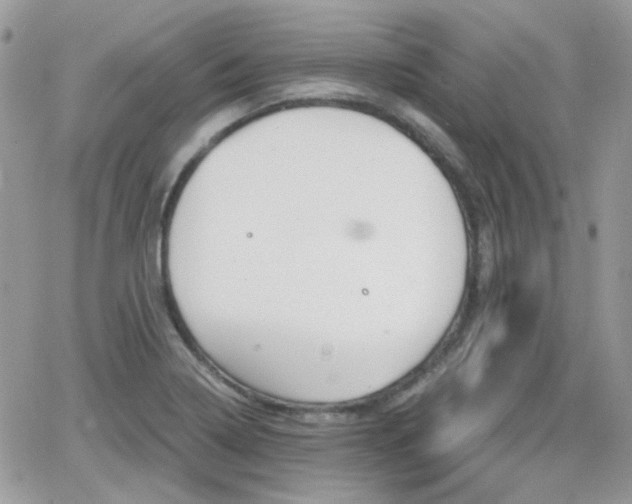 X0000066971322200603271158