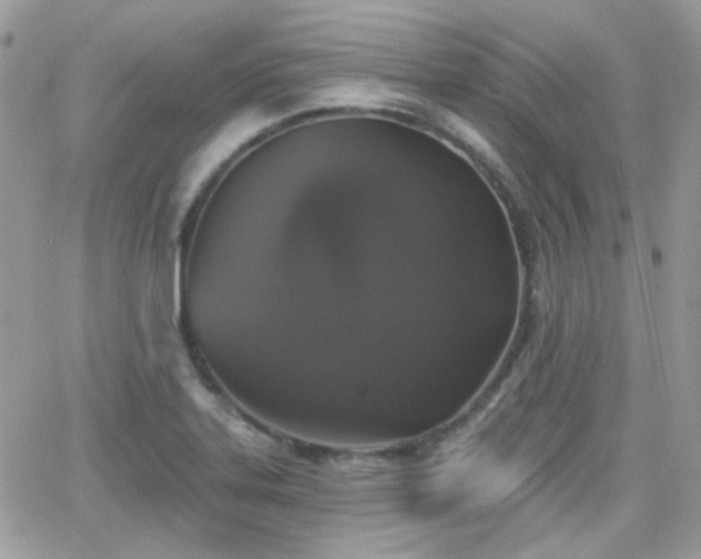 X0000066971323200603271158