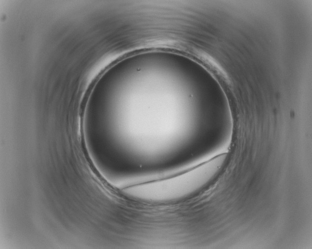 X0000066971324200603271158