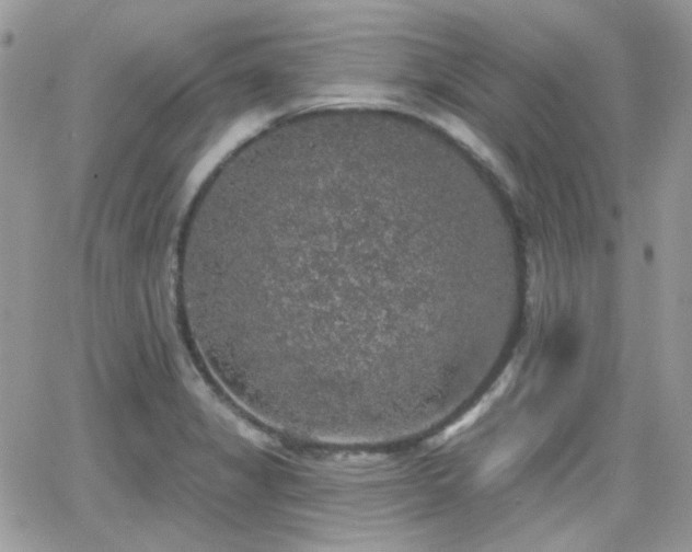 X0000066971325200603271158