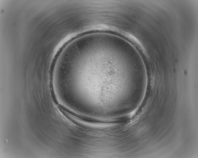 X0000066971326200603271158