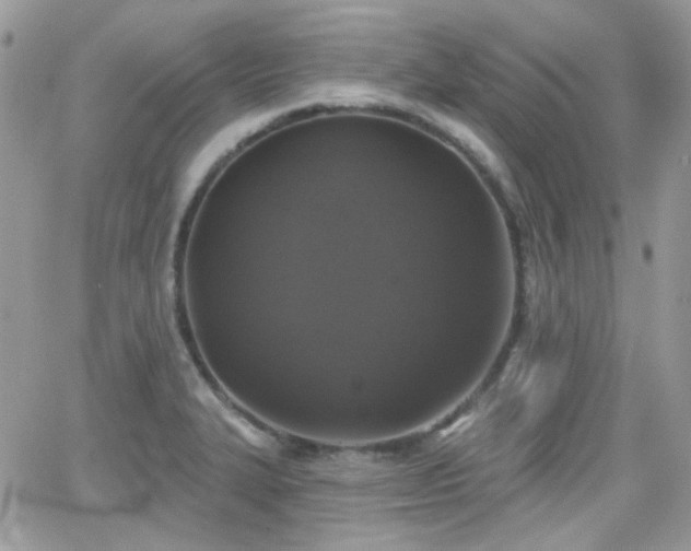 X0000066971327200603271158