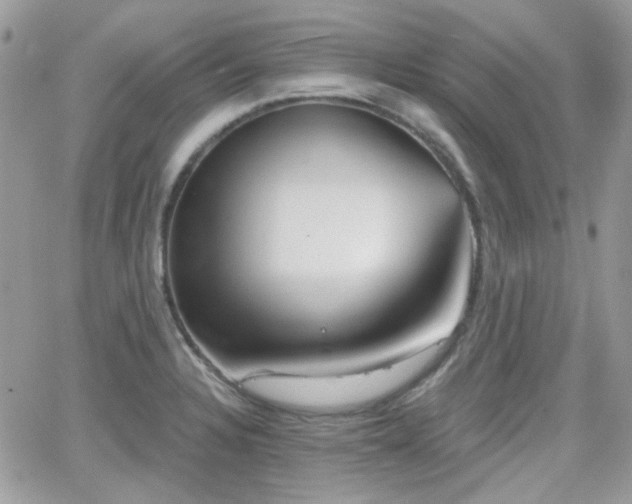 X0000066971328200603271158