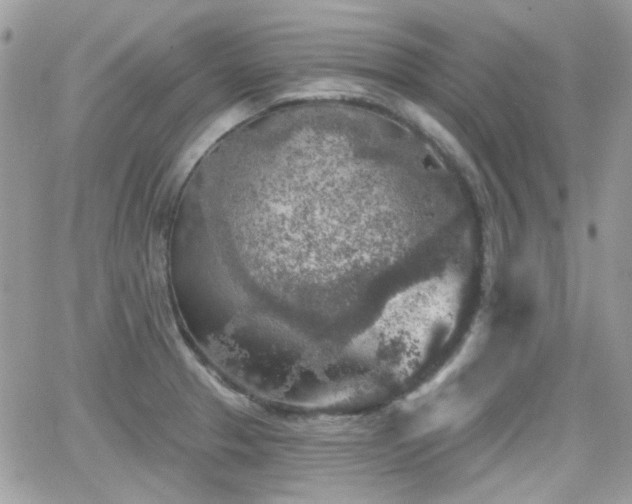 X0000066971329200603271158