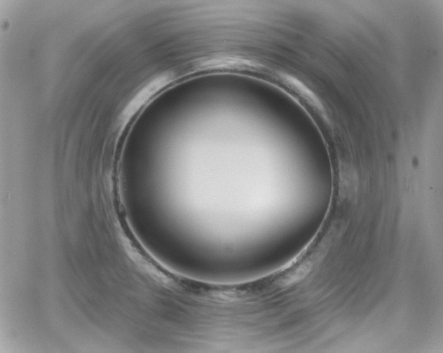 X0000066971330200603271158