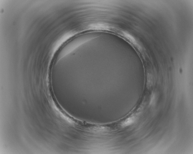 X0000066971331200603271158