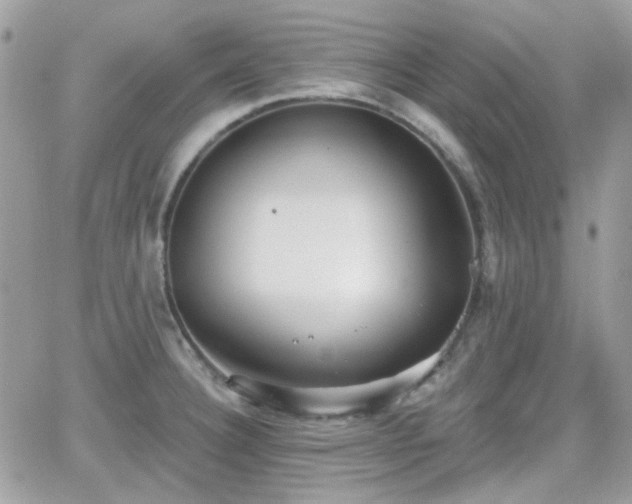 X0000066971332200603271158