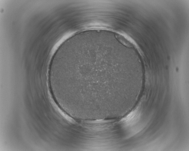 X0000066971333200603271158