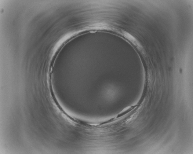 X0000066971334200603271158