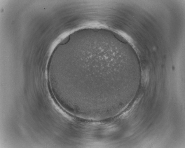 X0000066971335200603271158