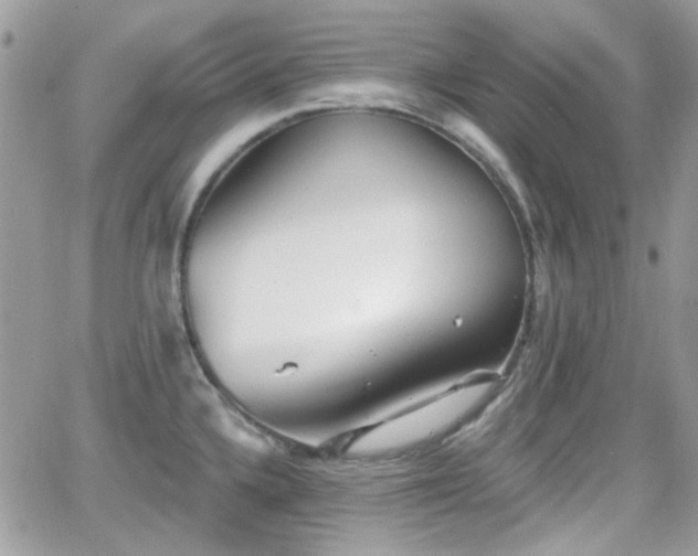 X0000066971336200603271158