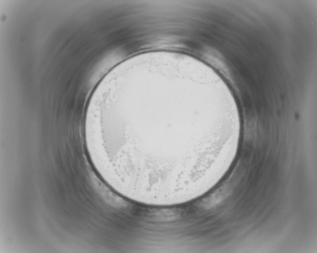 X0000066971338200603271158