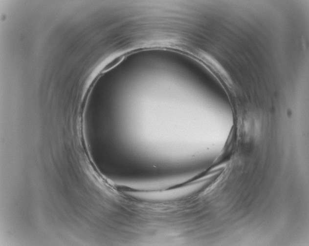 X0000066971340200603271158