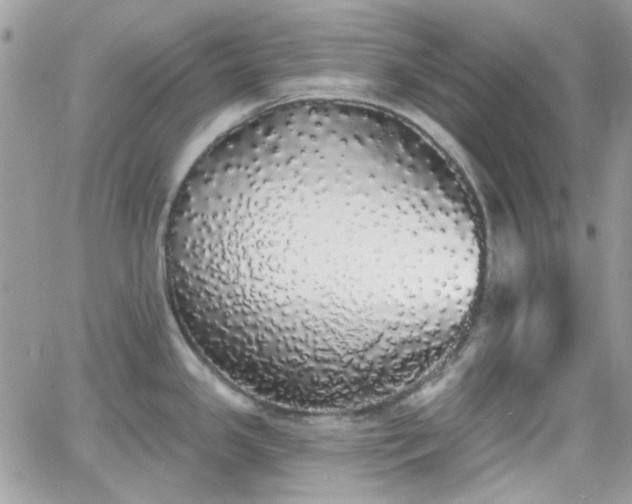 X0000066971341200603271158