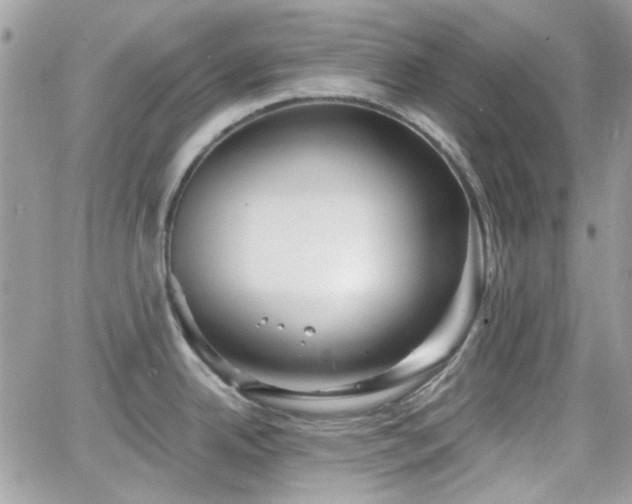 X0000066971342200603271158