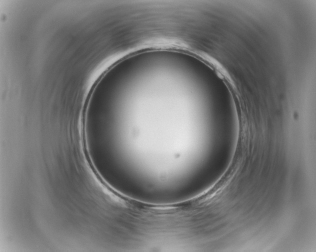 X0000066971343200603271158