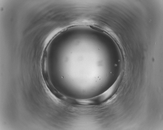 X0000066971344200603271158