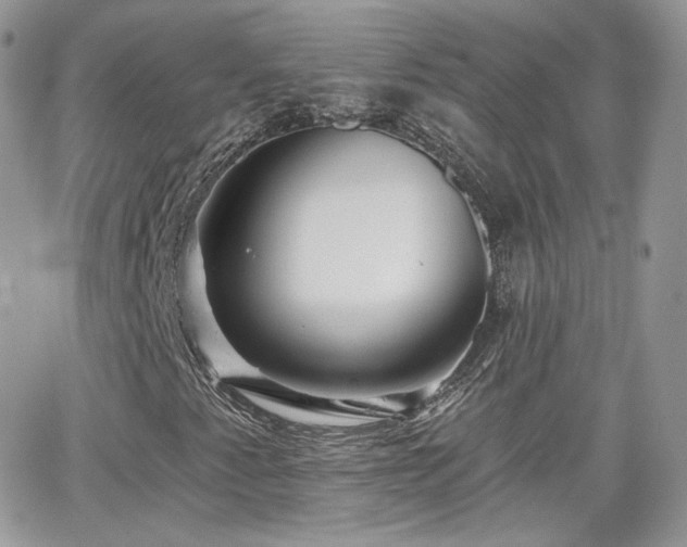 X0000066971345200603271158