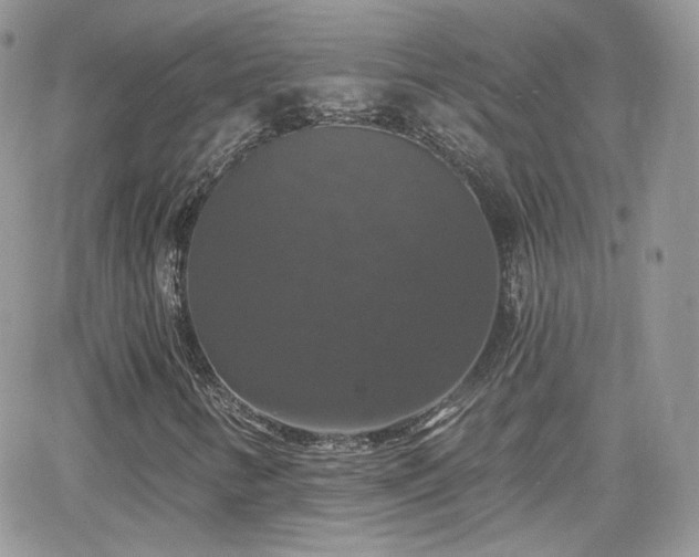 X0000066971346200603271158