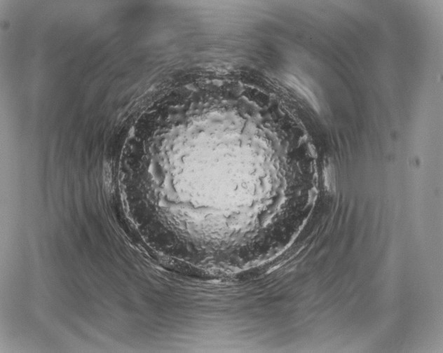 X0000066971347200603271158