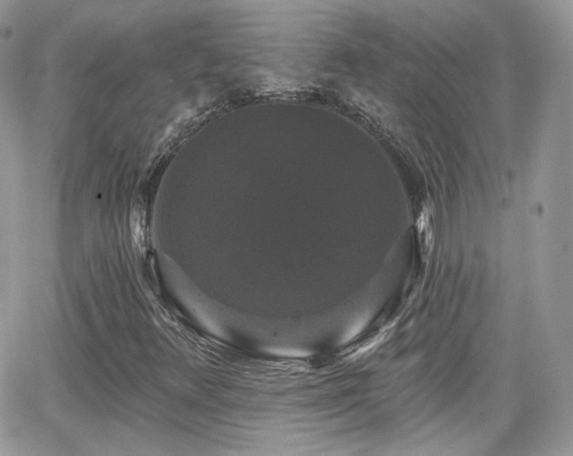 X0000066971348200603271158