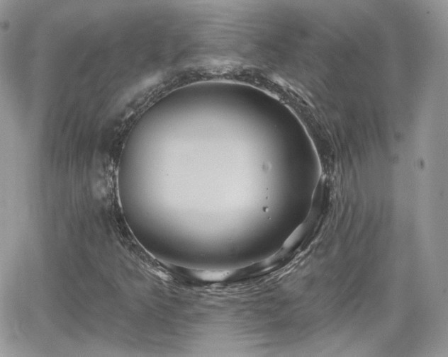 X0000066971349200603271157