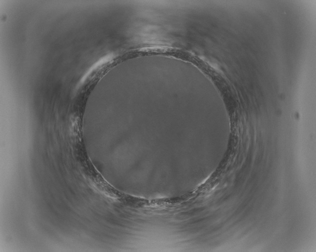 X0000066971351200603271157