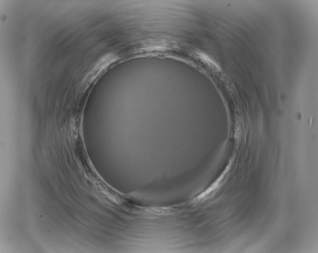 X0000066971353200603271157